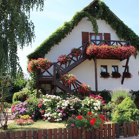 Apartment Route Du Vin Centre Alsace Orschwiller Room photo